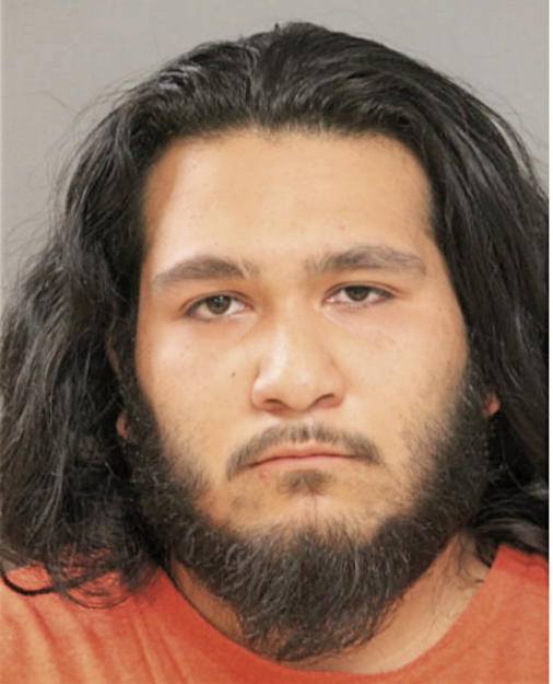 IFRAIN H GALLARDO, Cook County, Illinois