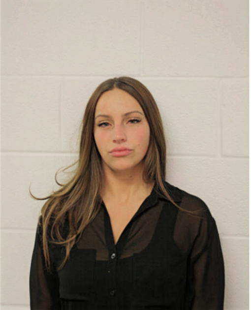 VICTORIA L HANUSIAK, Cook County, Illinois
