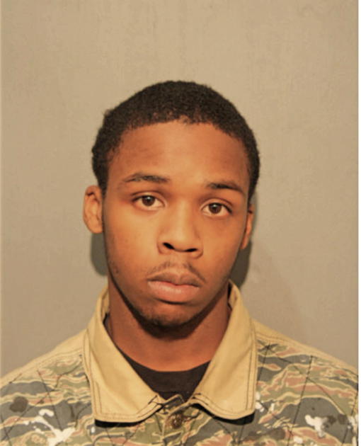 JERRY J HARRIS, Cook County, Illinois