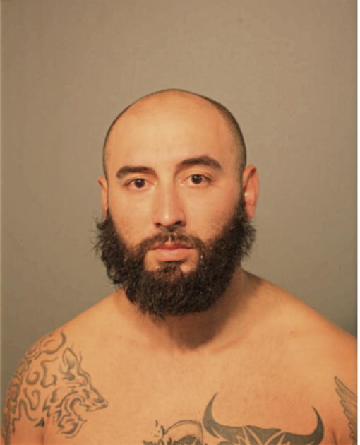 JOSHUA C HOLOMAN, Cook County, Illinois