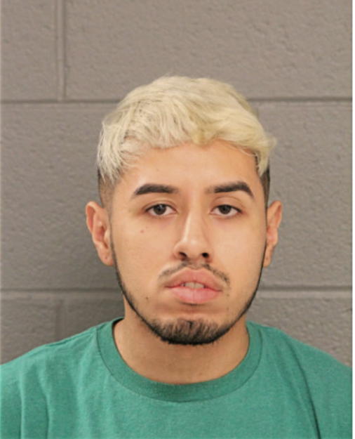 DAVID DE JESUS GONZALEZ, Cook County, Illinois