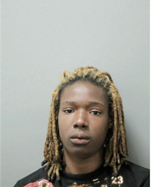 ASHLEY JOHNSON, Cook County, Illinois