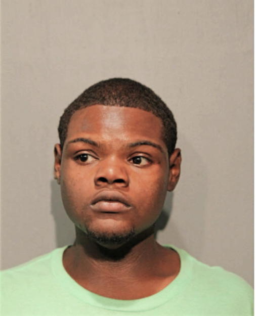 BRAXTON J JOHNSON, Cook County, Illinois