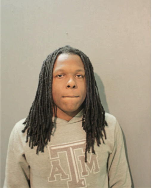 DARIUS L LEE, Cook County, Illinois