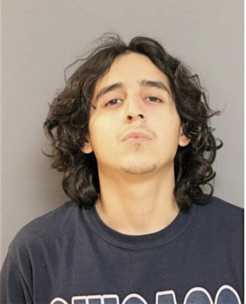 ERIC A MORALES, Cook County, Illinois