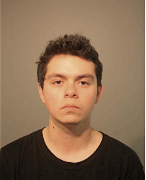 ALDO F PEREZ, Cook County, Illinois