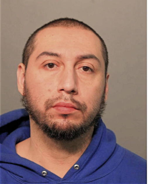 SAUL PINA, Cook County, Illinois