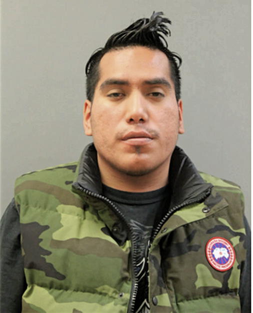HUGO SEGURA, Cook County, Illinois