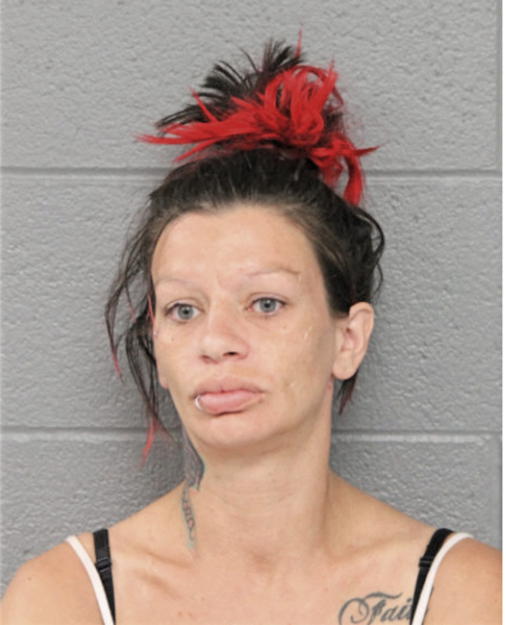 TARA S STRICKLIN, Cook County, Illinois