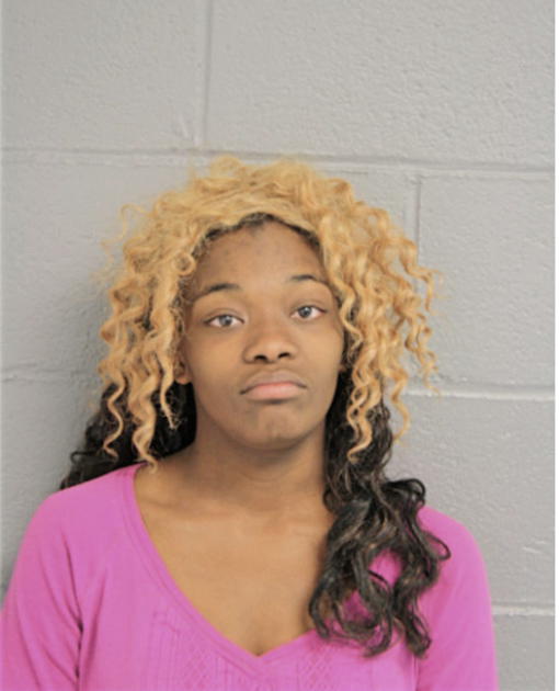 MECHELE M STYLES, Cook County, Illinois