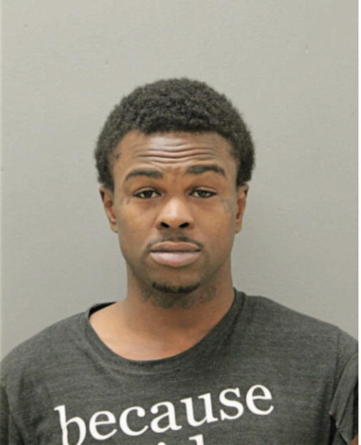 MICHAEL G THOMAS, Cook County, Illinois