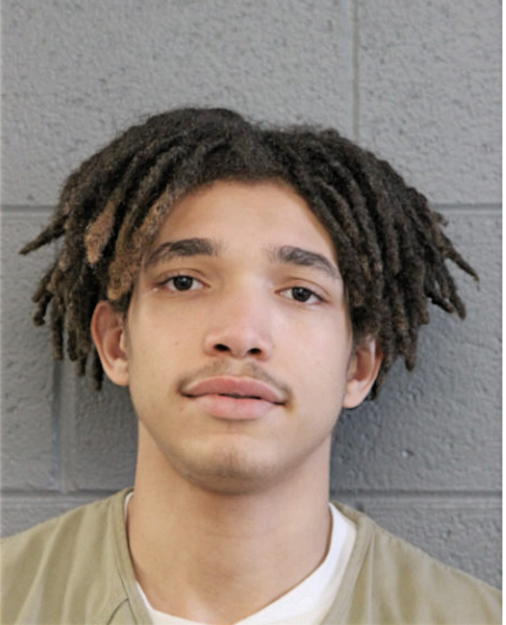 JELEN WALLACE, Cook County, Illinois