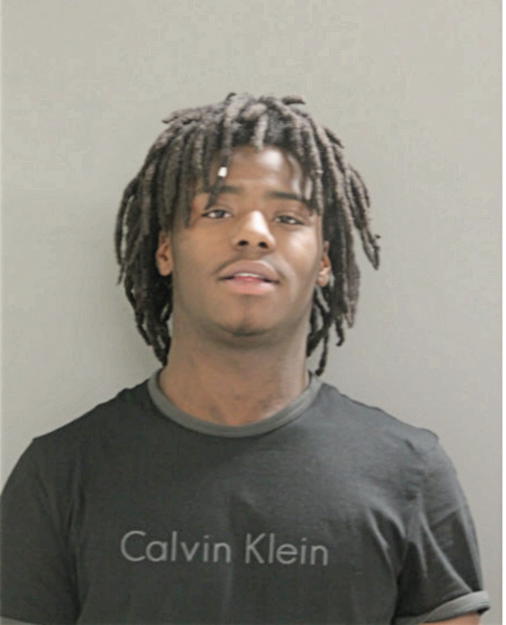 TERRANCE WOODS, Cook County, Illinois