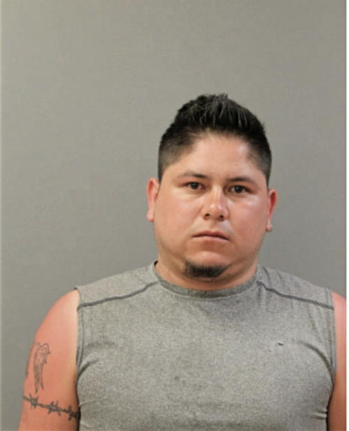 LEONARDO ZAMUDIO, Cook County, Illinois