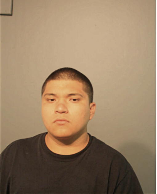 HECTOR M AVILA, Cook County, Illinois