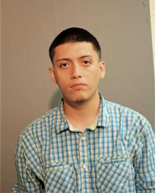 FERNANDO S BRITO, Cook County, Illinois
