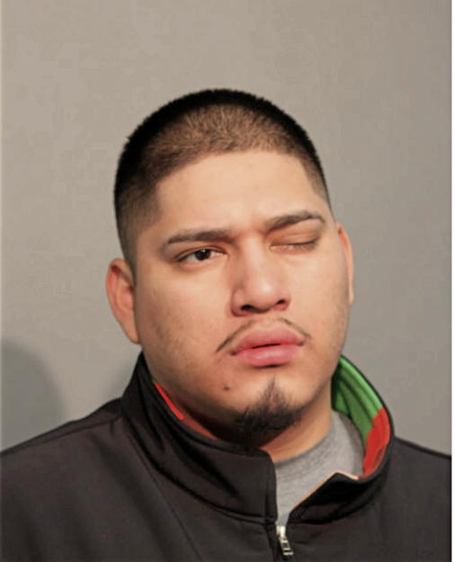 ERICK CERVANTES, Cook County, Illinois