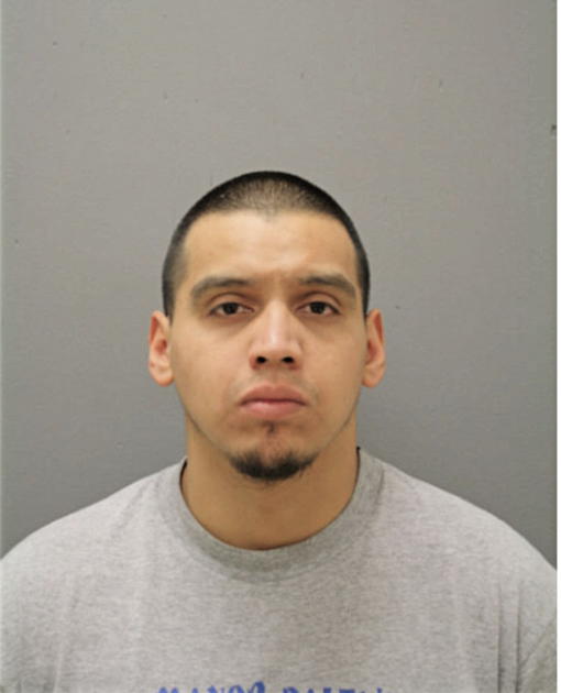 BULMARO DELGADO, Cook County, Illinois
