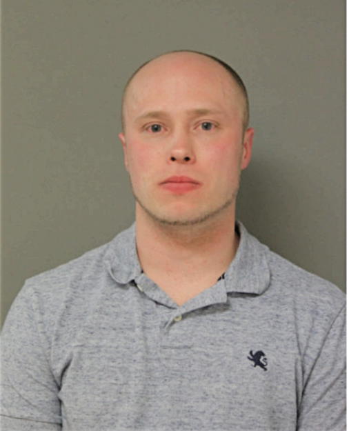 MIKEL V FABECICH, Cook County, Illinois