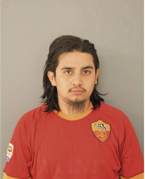 ENRIQUE O FUENTES, Cook County, Illinois