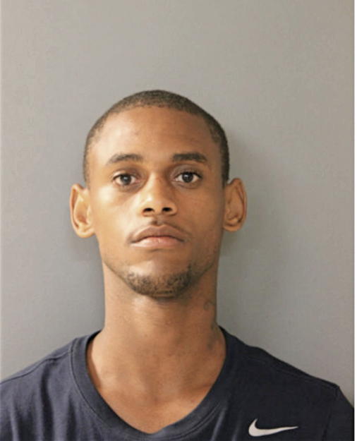 TERRANCE M HENDERSON, Cook County, Illinois