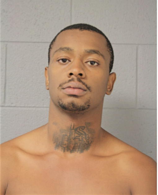 ANDRE N JACKSON, Cook County, Illinois