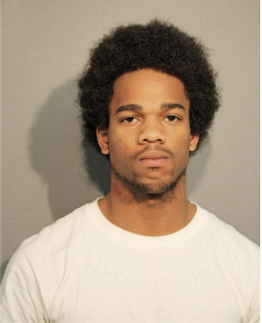 DANZEL E JOHNSON, Cook County, Illinois