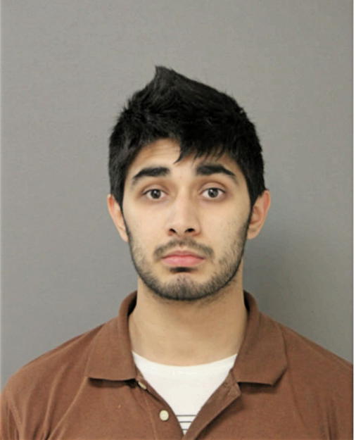 FAHD TALAT KAYANI, Cook County, Illinois