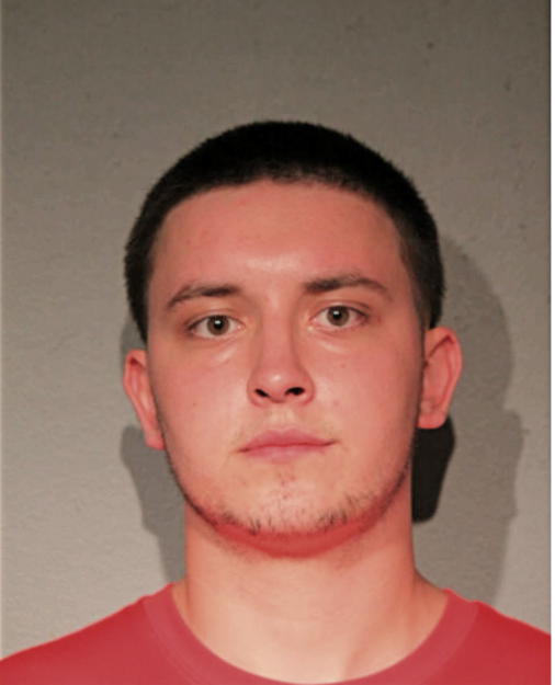 JUSTIN P LEWERS, Cook County, Illinois