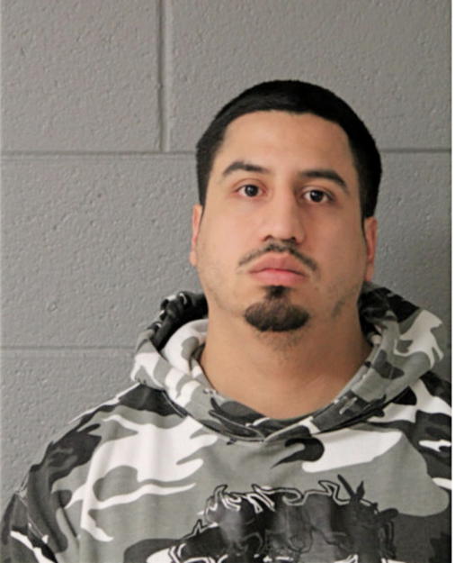 MARIO R LOPEZ, Cook County, Illinois