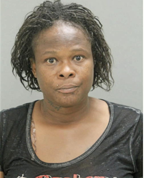 DAMENIAL D LOUIS, Cook County, Illinois