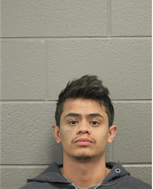PEDRO LOZA, Cook County, Illinois