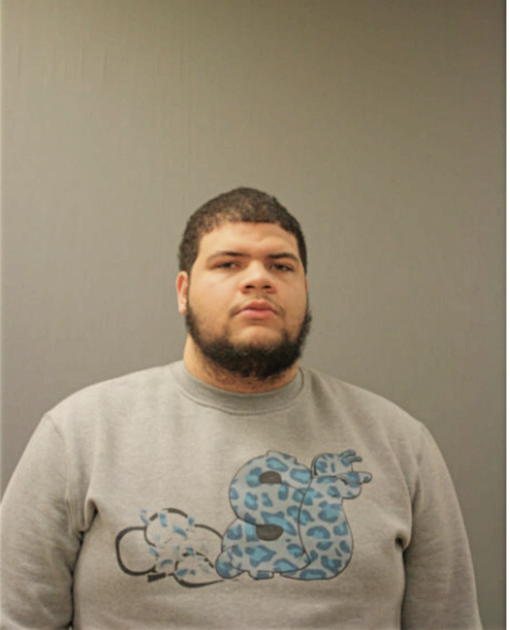 ANTWONN A MCGEE, Cook County, Illinois