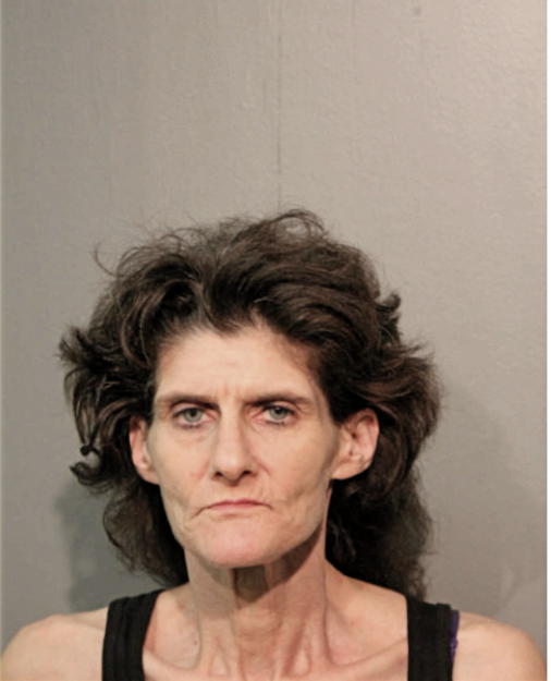 DAWN M MCKEEHAN, Cook County, Illinois