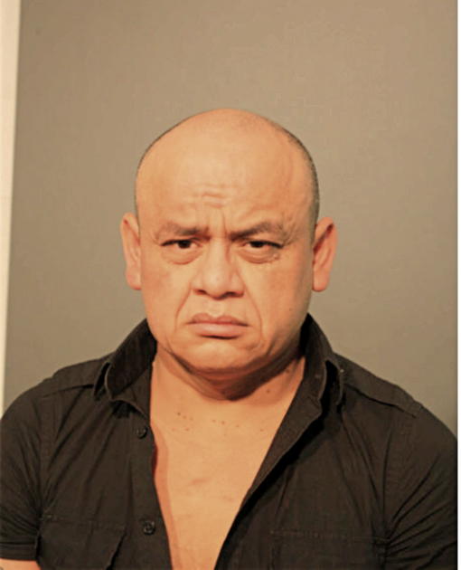 LUIS NAVA, Cook County, Illinois