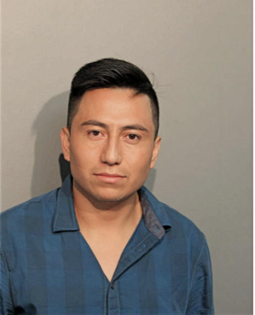 FABIAN F RAMIEREZ, Cook County, Illinois