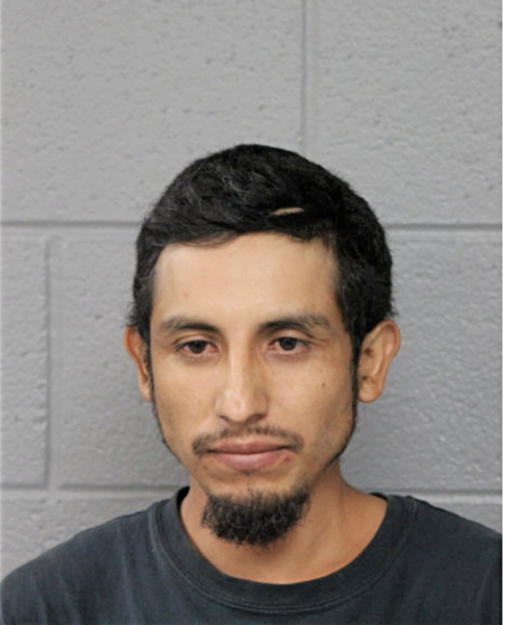 ALCADIO RANGEL, Cook County, Illinois