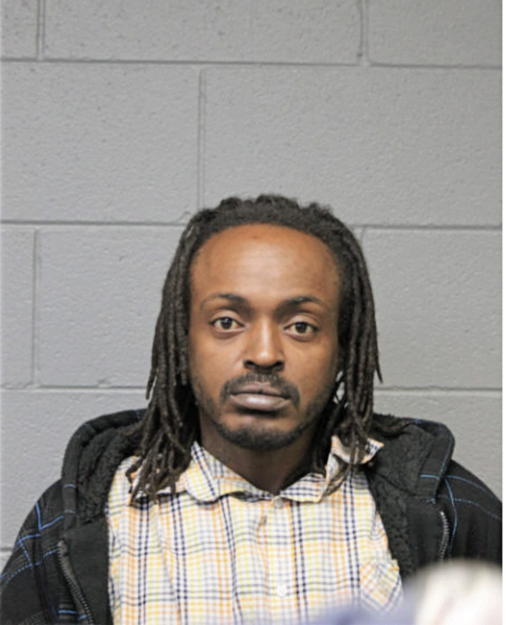 MICHAEL L ROBINSON, Cook County, Illinois