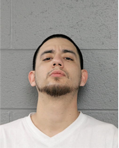 HUMBERTO G RUIZ, Cook County, Illinois