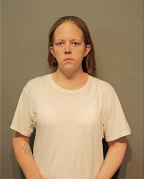 AMANDA L SCHWARTZ, Cook County, Illinois