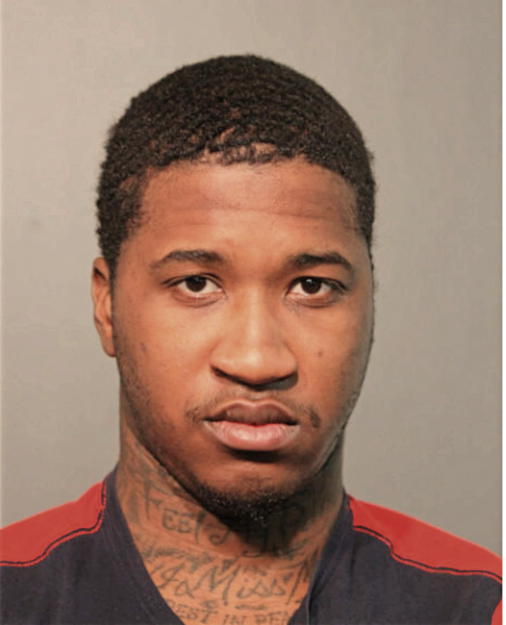LANCE D SIMS, Cook County, Illinois