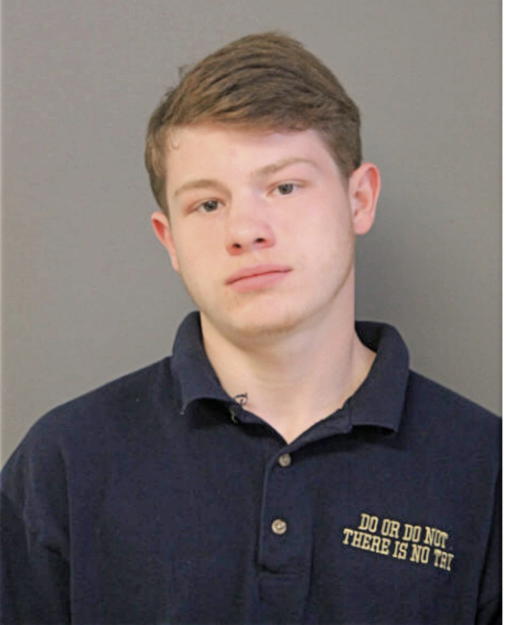 ANDREW J STRMIC, Cook County, Illinois