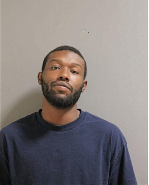 DERRICK H SUMMERS, Cook County, Illinois