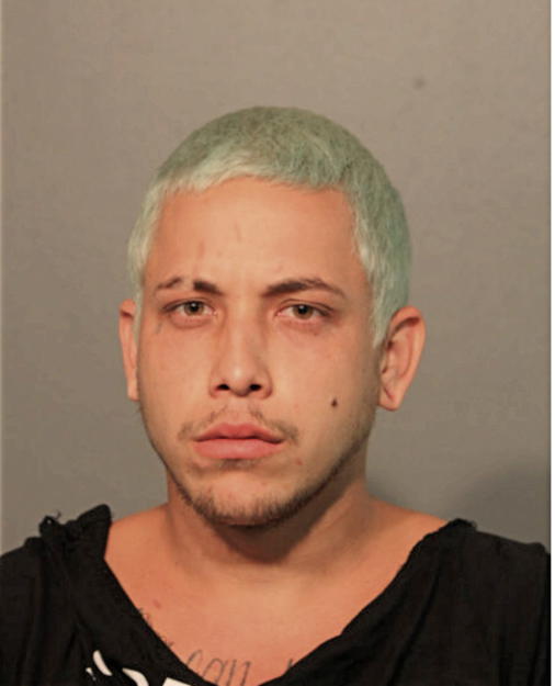ANTHONY M TARASIUK, Cook County, Illinois