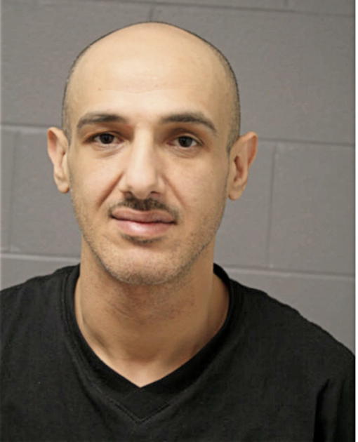ADAM M ZANDAN, Cook County, Illinois