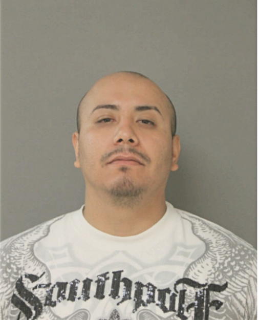 DANIEL ARELLANO, Cook County, Illinois