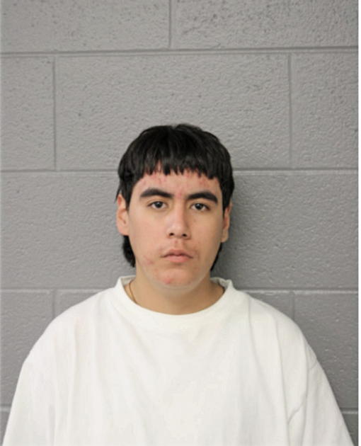 BRIAN I AVILA, Cook County, Illinois