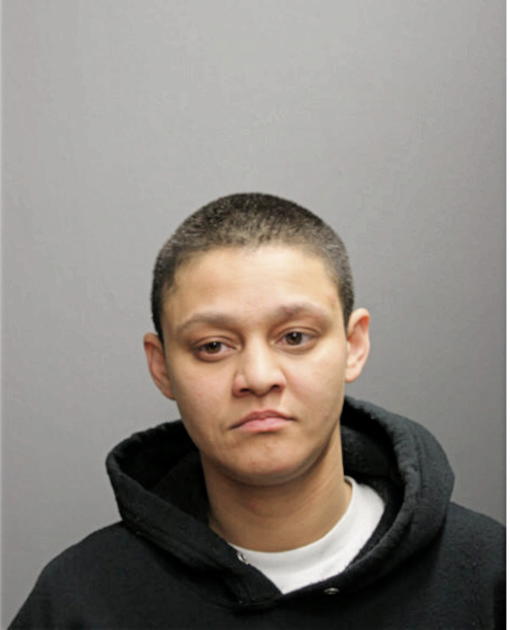 VERONICA B CARRASQUILLO, Cook County, Illinois