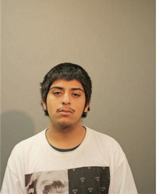 ANGEL CARVAJAL, Cook County, Illinois
