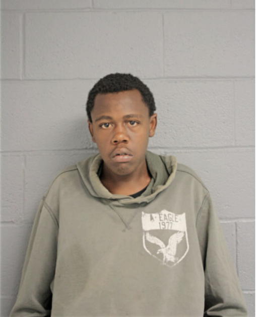 DARRYL G CUNNINGHAM, Cook County, Illinois